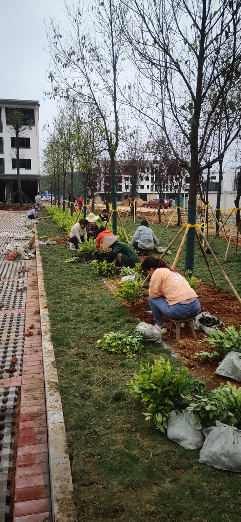 ���֛_���Å^(q��)�G���(xi��ng)Ŀ